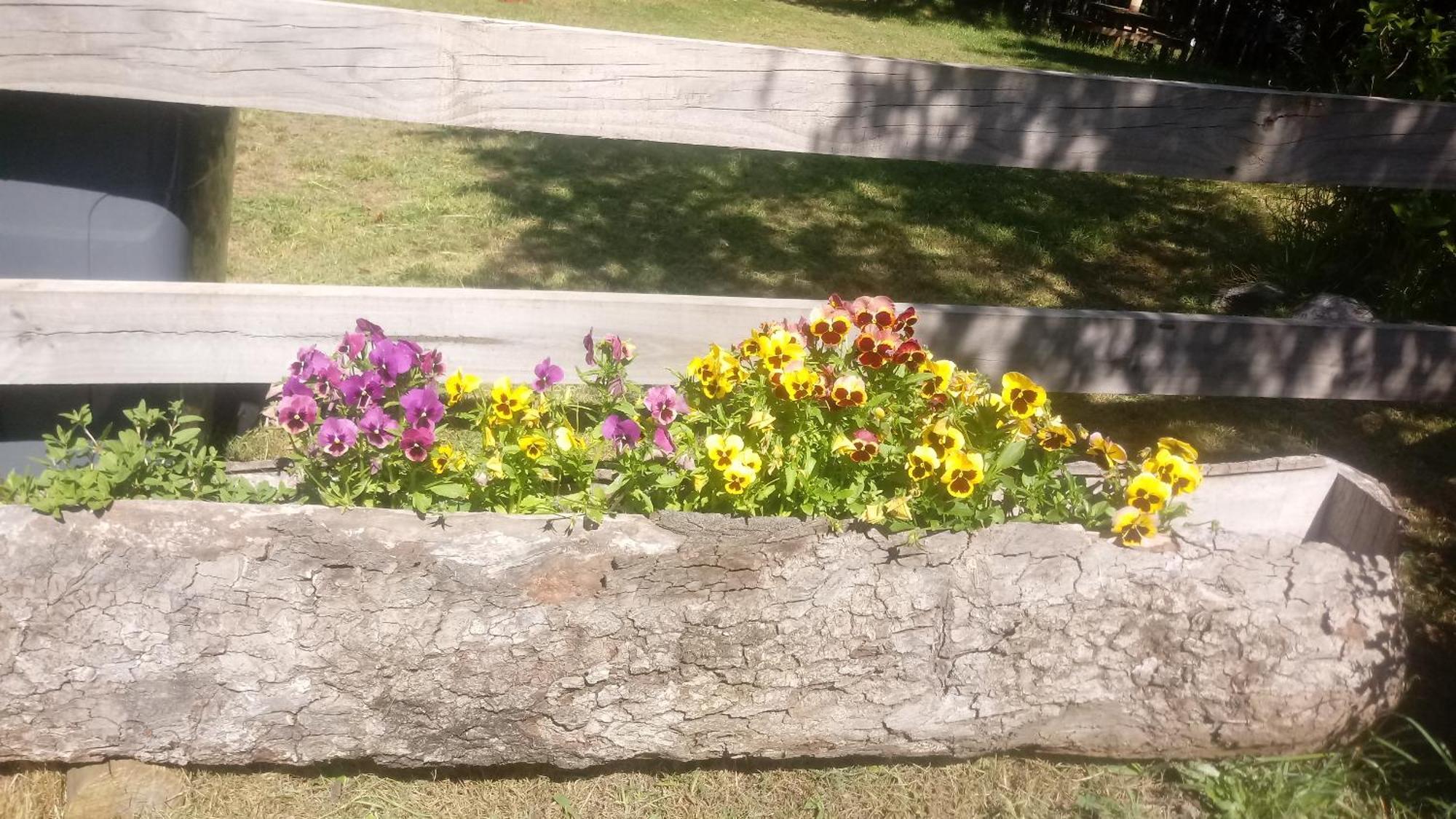 Cabanas Los Canelos Hermosa Granja En プコン 部屋 写真